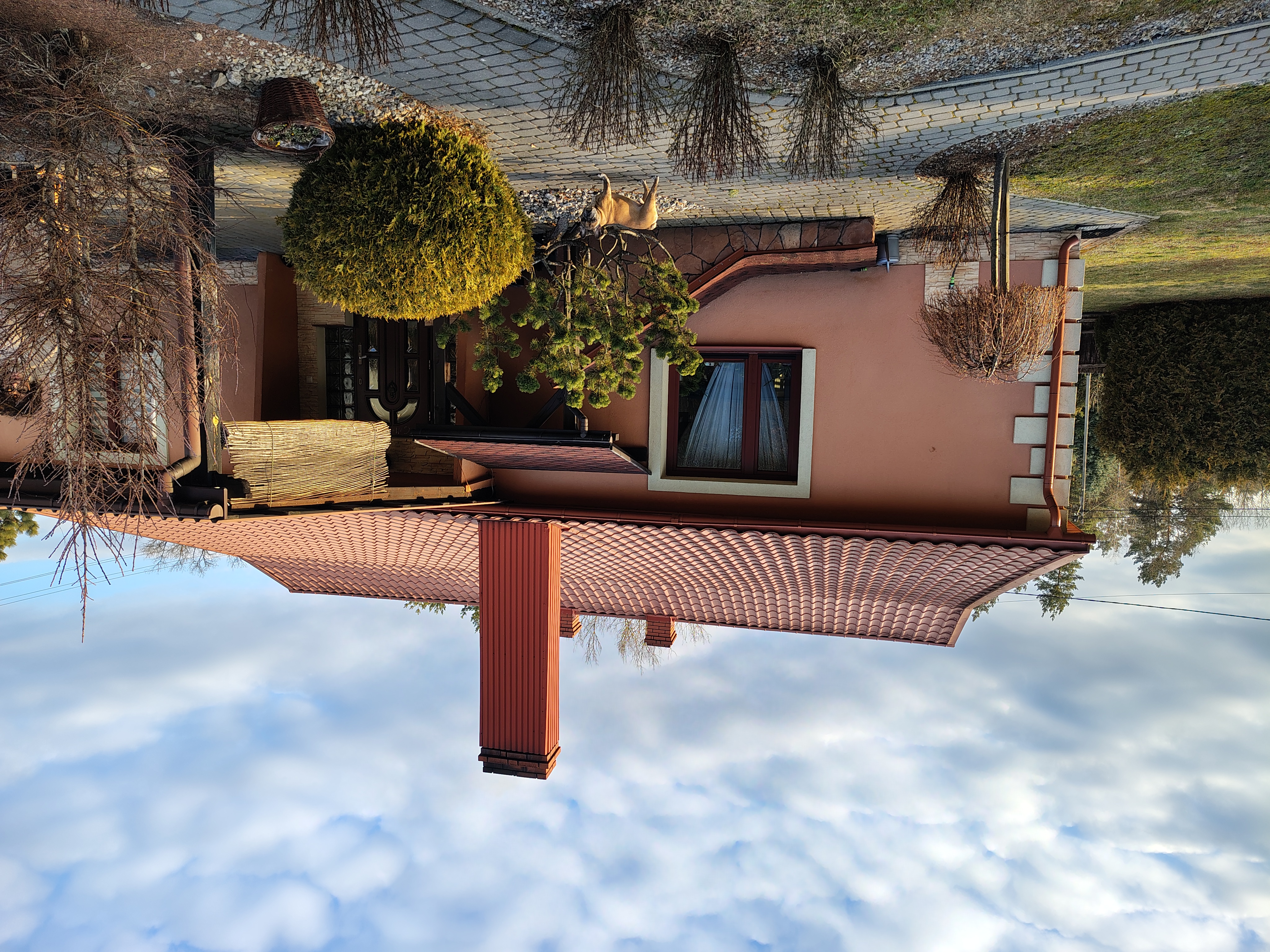 Dom jednorodzinny kremowa elewacja - widok 5